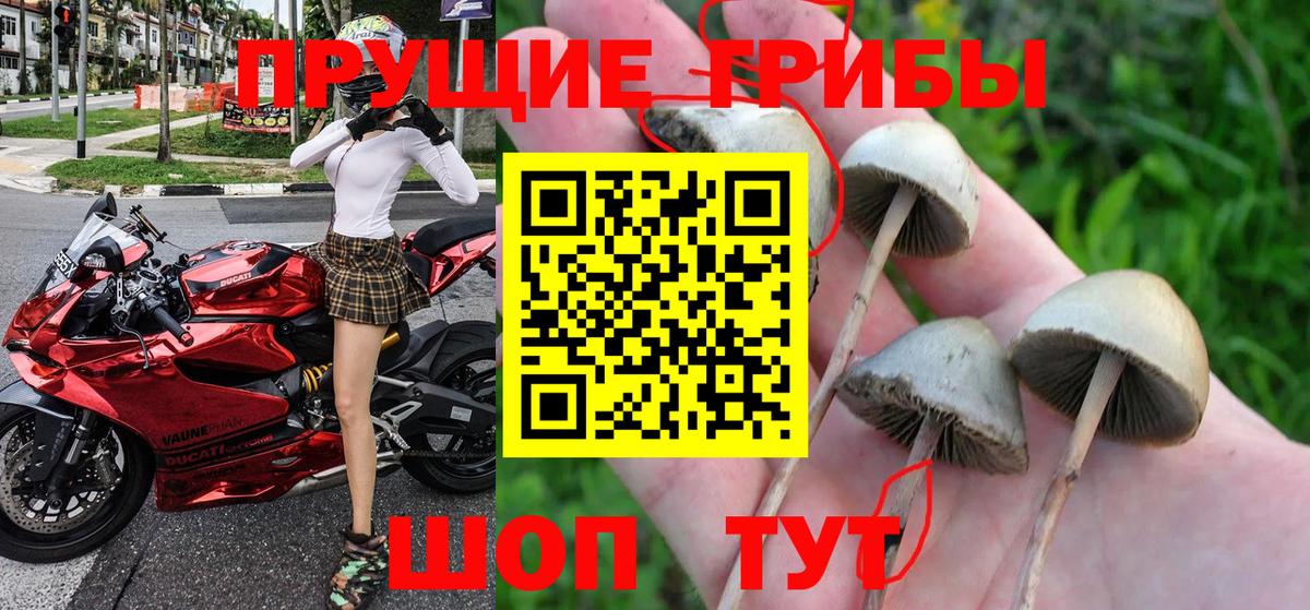 Отрадный  Псилоцибиновые грибы мицелий  Вход с VPN 